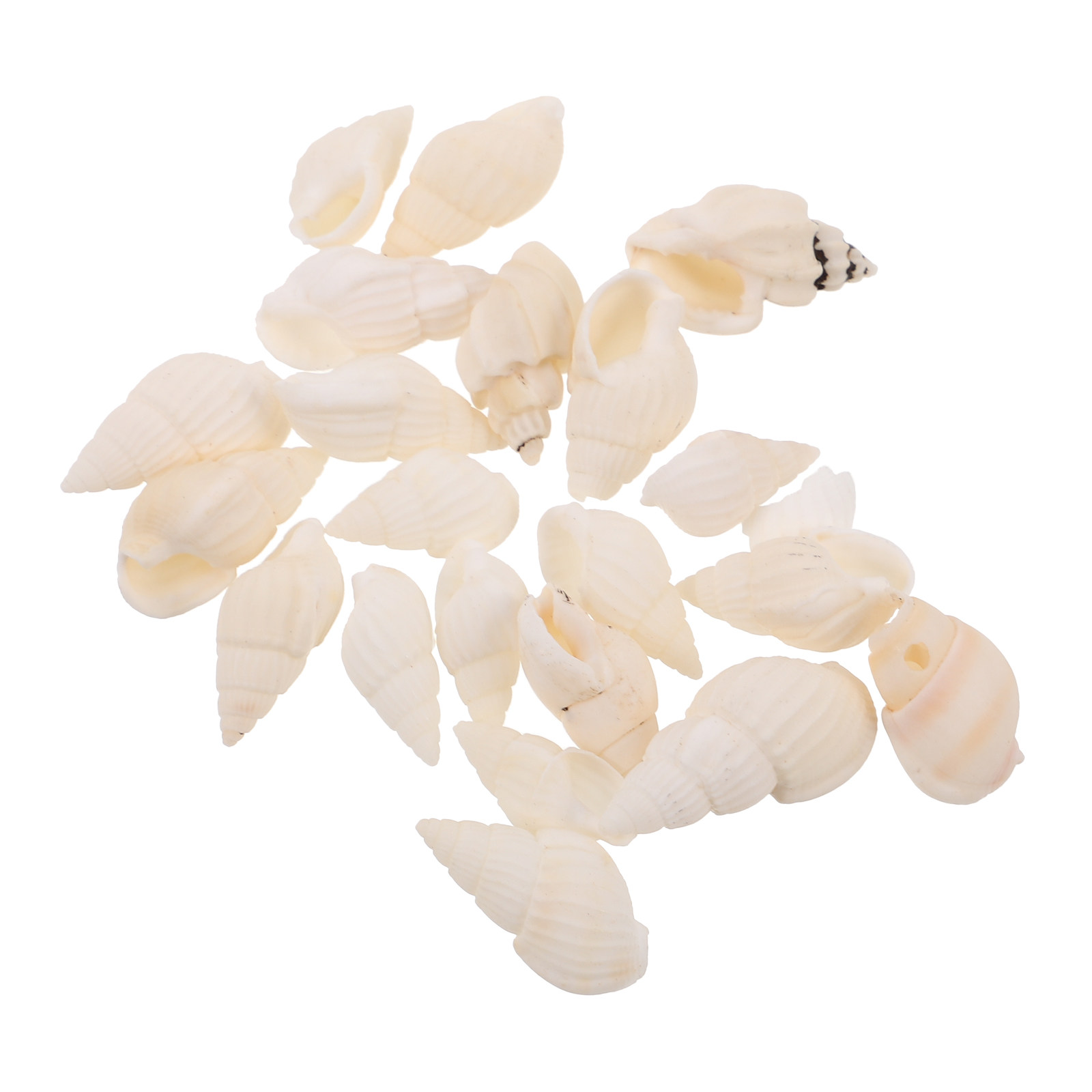 Resin Art Beach Theme - 20Pcs Mini White Spiral Seashells Natural