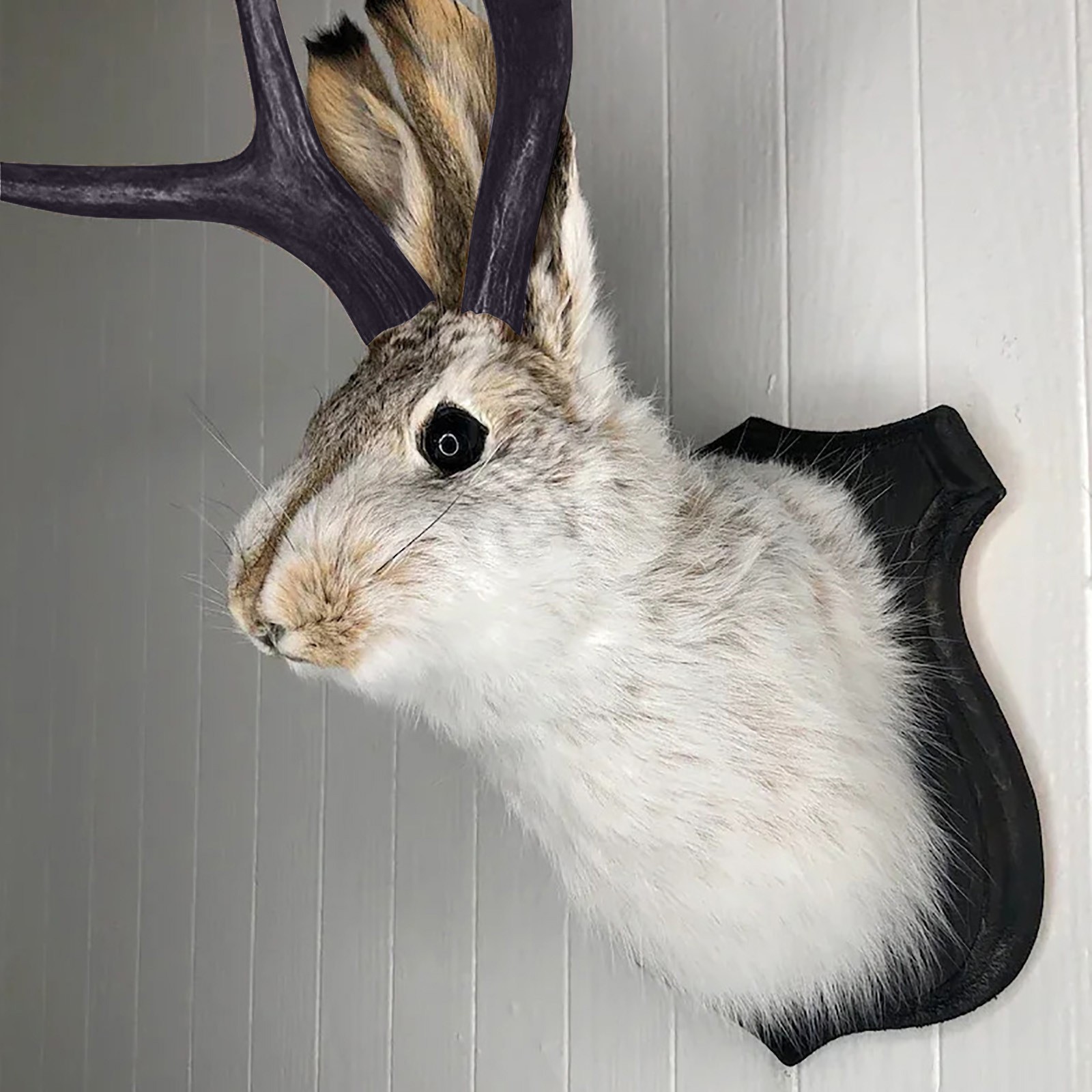 Easter Gift Bunny Head Antlers - Resin Art Hanging 리뷰 및 가격