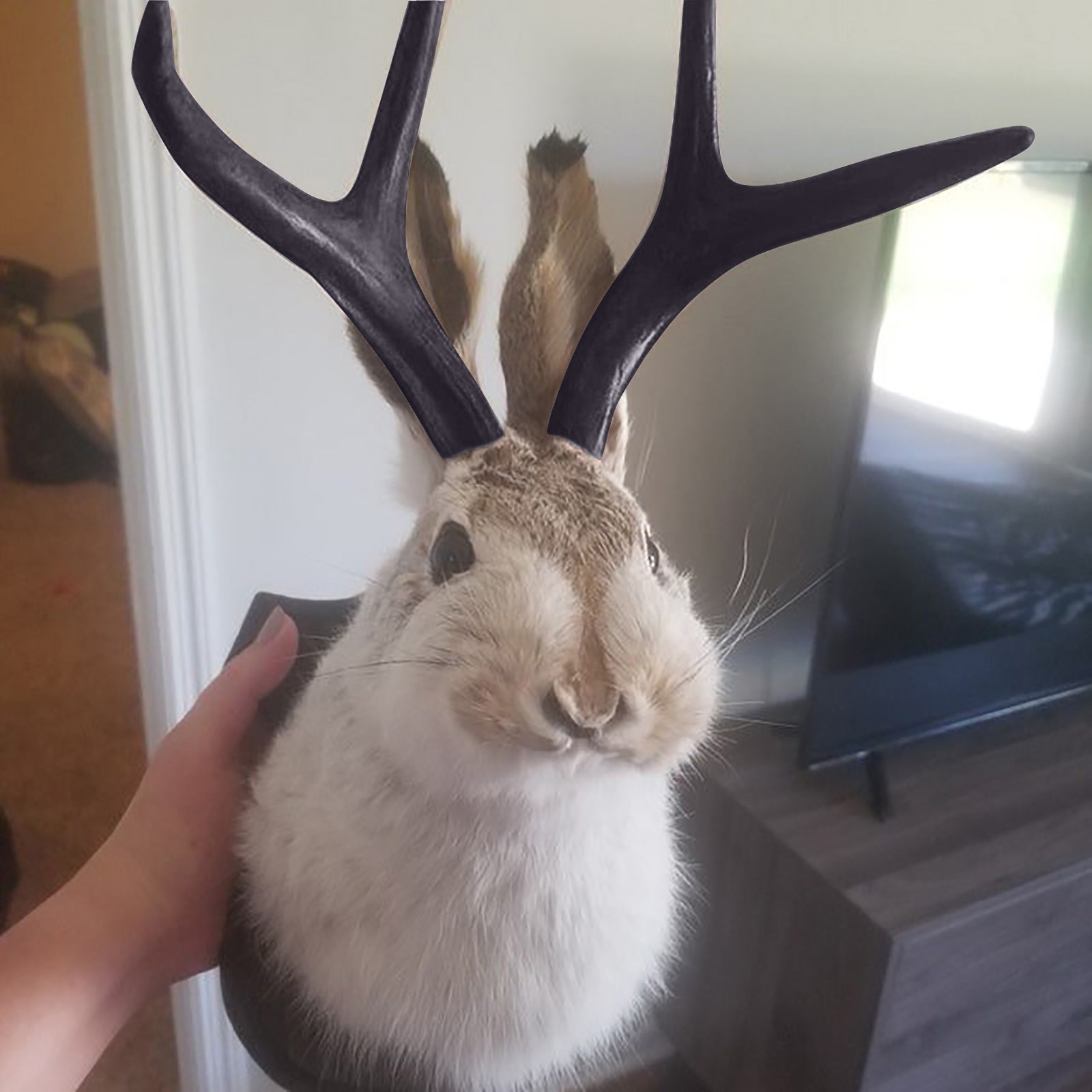 Easter Gift Bunny Head Antlers - Resin Art Hanging 리뷰 및 가격