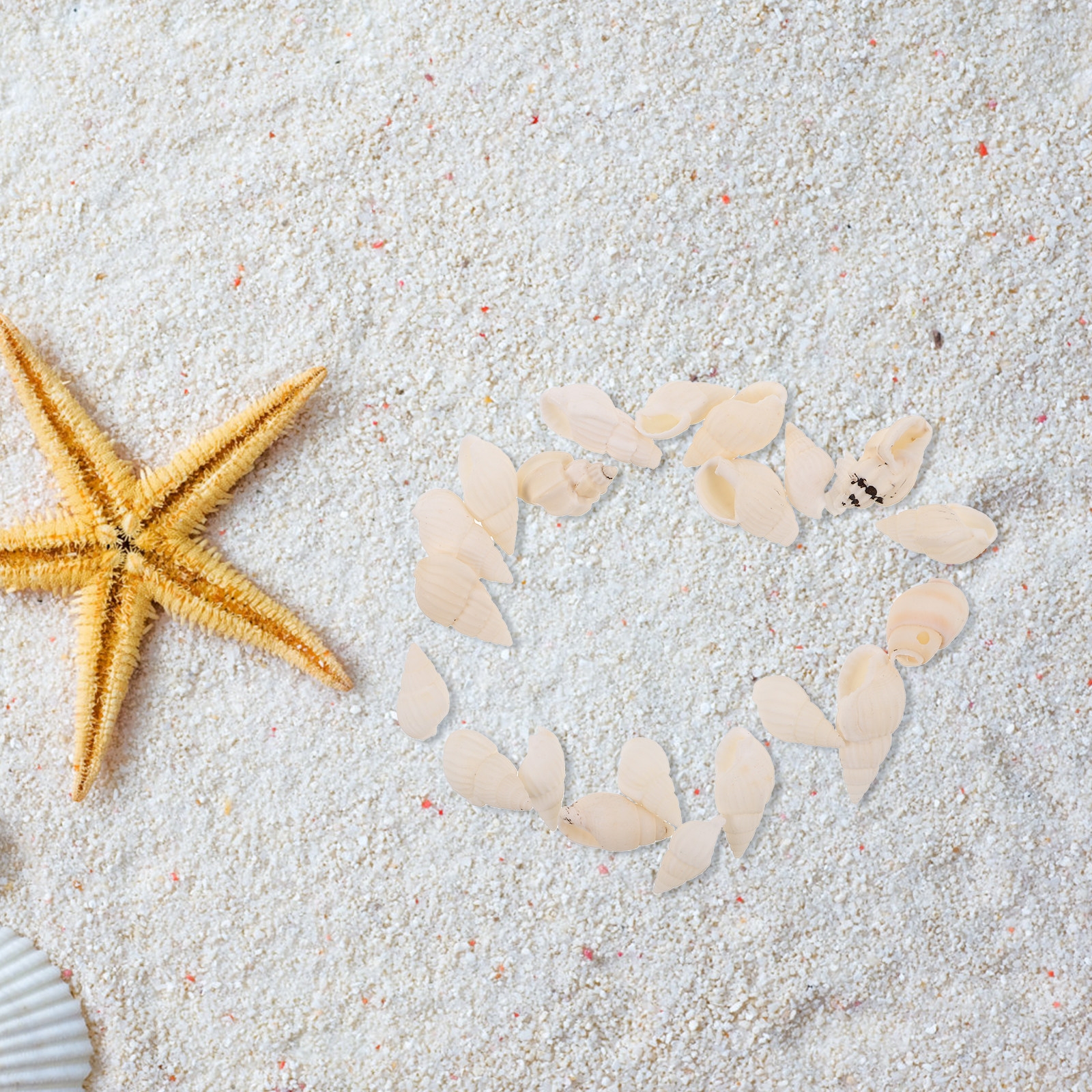 20Pcs White Spiral Seashells f - Resin Art Beach Theme 리뷰 및 가격