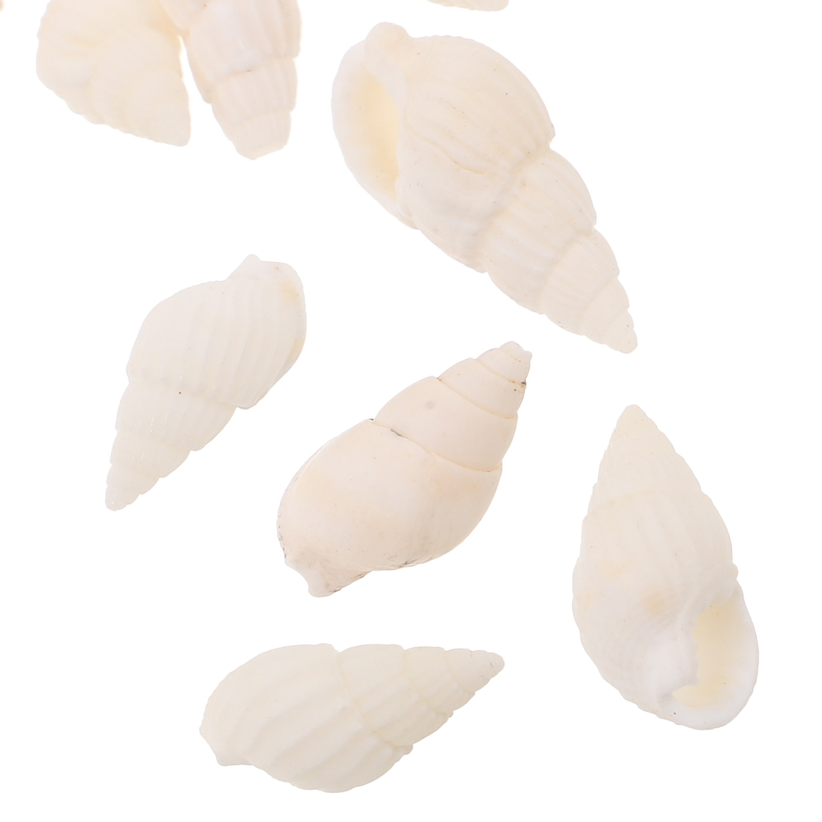 20Pcs White Spiral Seashells f - Resin Art Beach Theme 리뷰 및 가격
