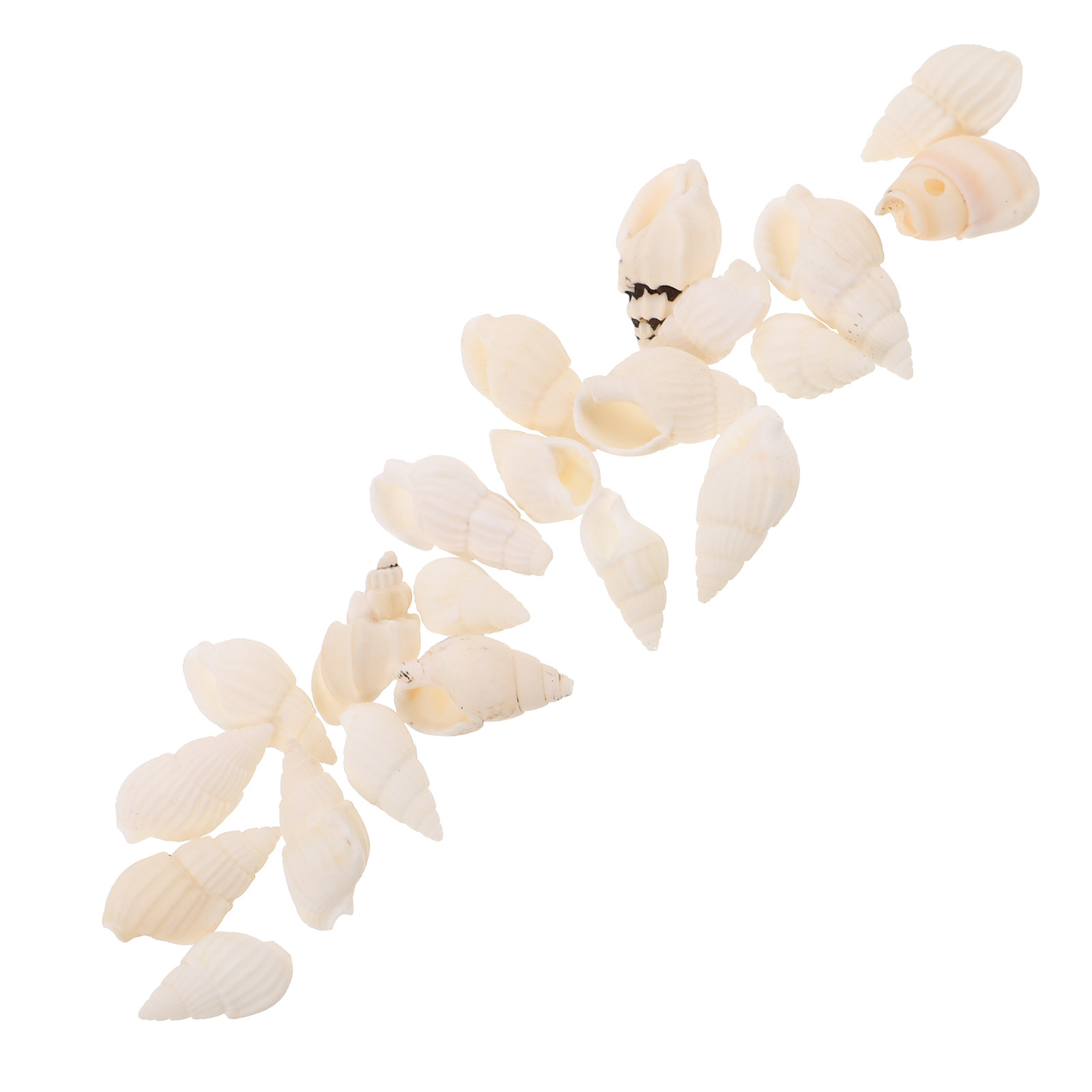 20Pcs Mini White Spiral Seashe - Resin Art Beach Theme 리뷰 및 가격