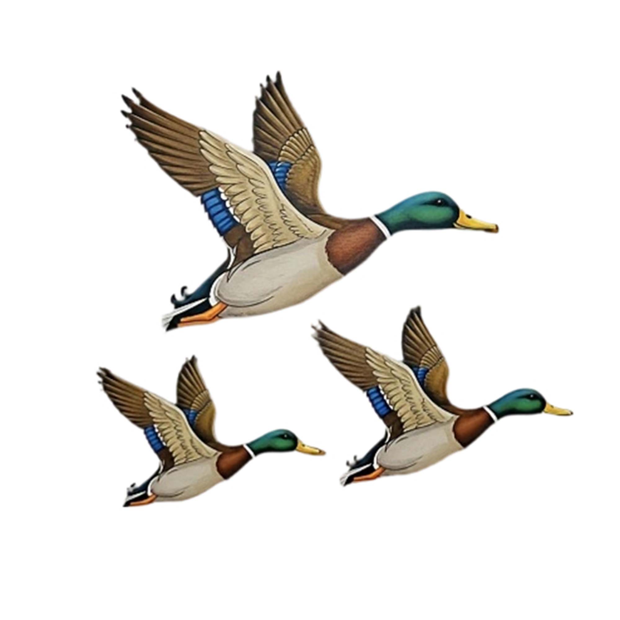3Pcs Wild Duck Wall Arts Uniqu - Resin Art With Wood 리뷰 및 가격