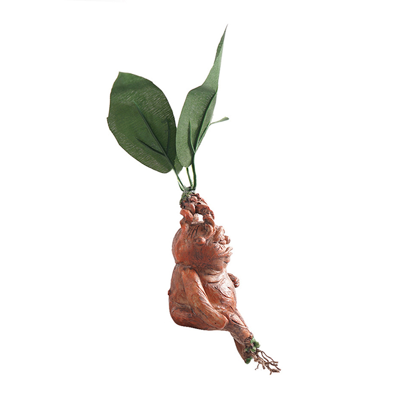 1PCS Mandrake Grass Resin Stat - Resin Art For Anniversary Gift 리뷰 및 가격